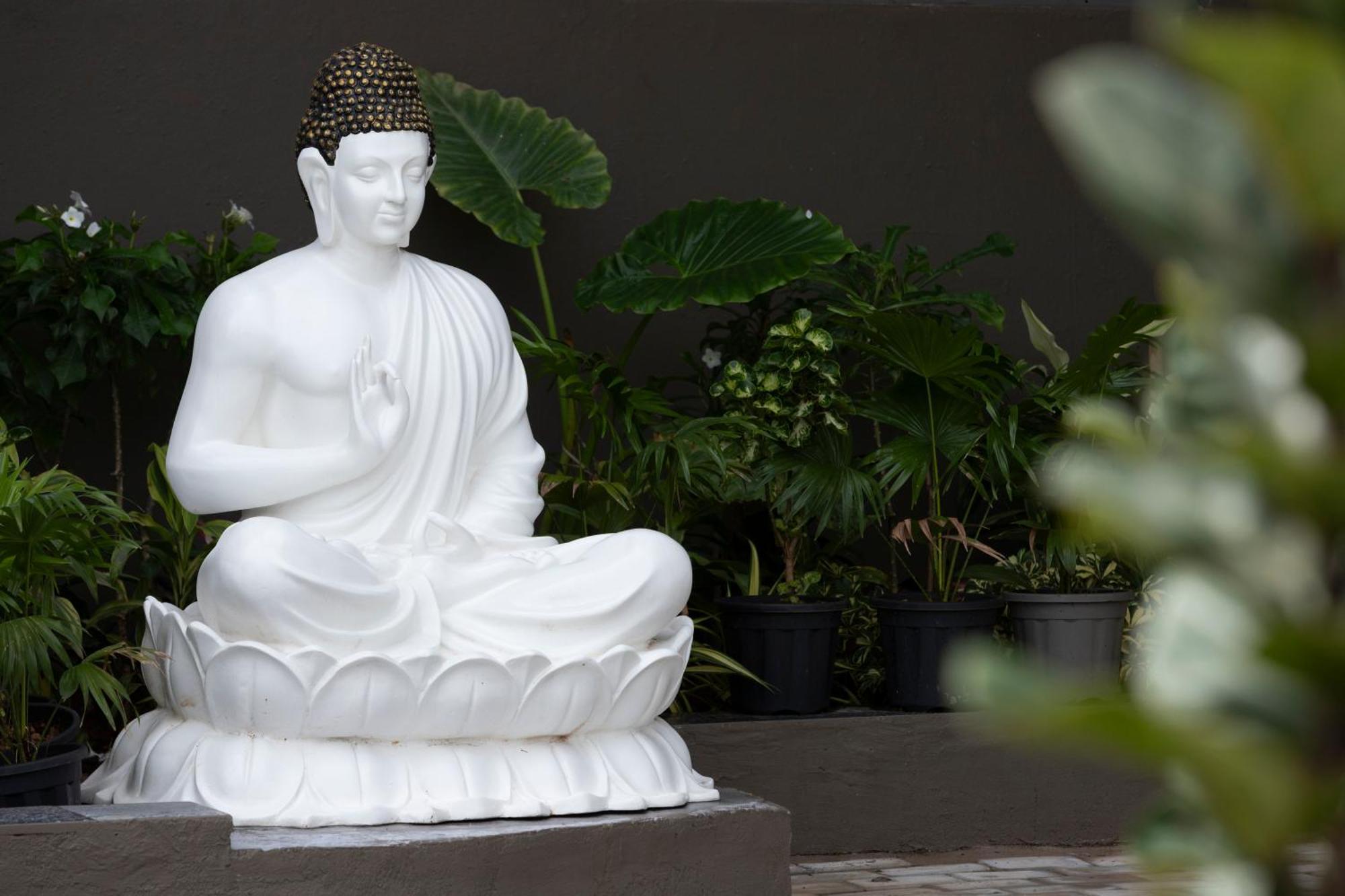 Stone Wood Hotel Amboli エクステリア 写真